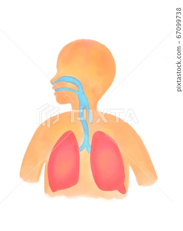 柔和的肺氣 柔和的肺氣 67099738