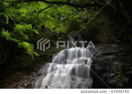 Senjuin waterfall nature landscape summer 67099740