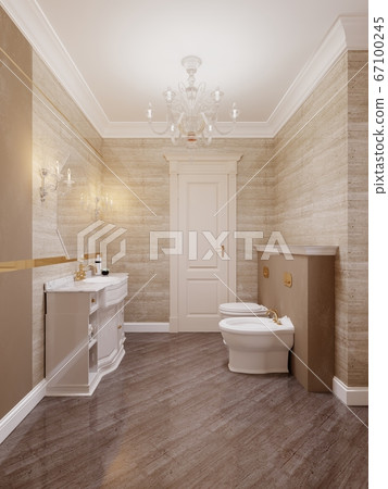 Classic style bathroom with toilet and bidet in Classic style bathroom with toilet and bidet in 67100245