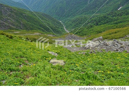 北岳花田和岡澤 67100566