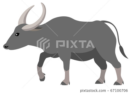 Buffalo isolated on white background - Stock Illustration [67100706 ...