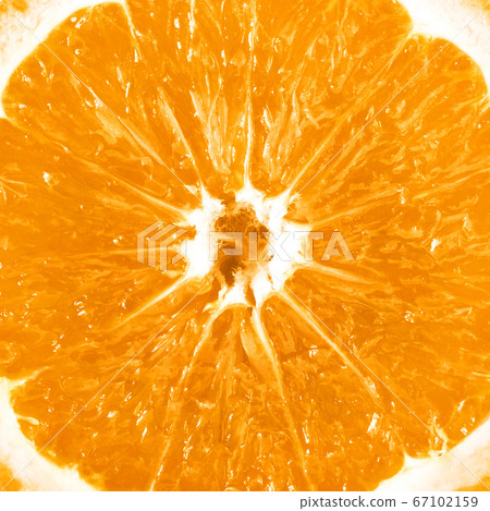 Slice of orange Slice of orange 67102159