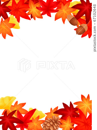 秋天的紅葉銀杏框架背景圖設置 插圖素材 圖庫