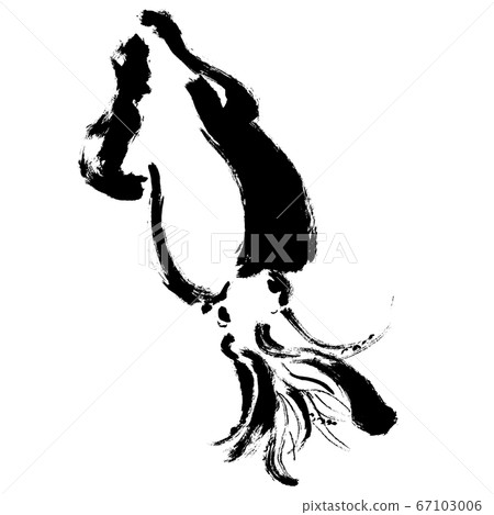 手繪插圖的魷魚,魷魚圖 手繪插圖的魷魚,魷魚圖 67103006