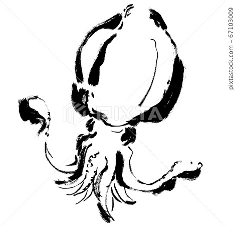 Aori squid hand-drawn illustration Squid illustration Aori squid hand-drawn illustration Squid illustration 67103009
