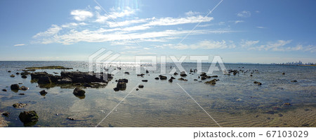 Panorama view of seashore of brighton beach in Melbourne Australia in the morning in the summer in 67103029