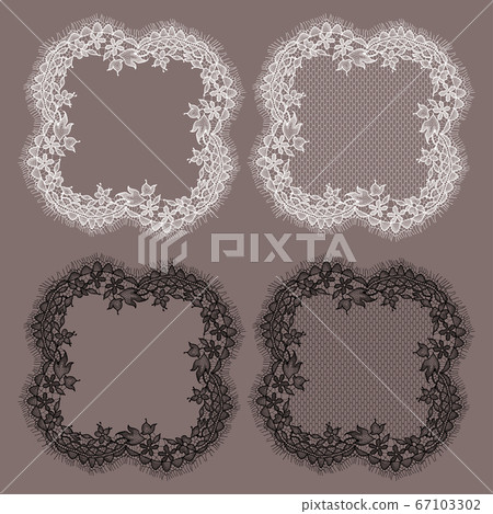 Vector lace 67103302