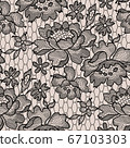 Vector lace 67103303