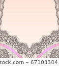 Vector lace 67103304