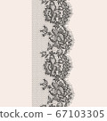 Vector lace 67103305
