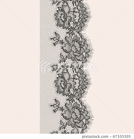 Vector lace 67103305