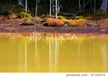 Orange swamp "Nishinuma" Onneto 67103472
