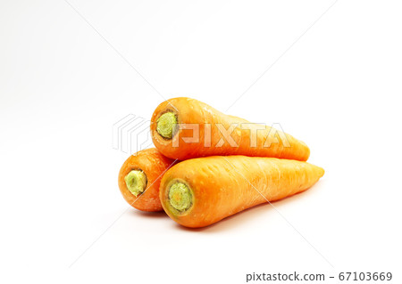 Ginseng Ginseng 67103669