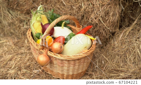 Summer Gifts In Wooden Basket. Cosy Wooden Basket Full of Fresh Vegetables - Corn, Cucumbers, Sweet Pepper, Lettuce, Squash, Onion- Is Staying On Hay. Beauty And Wealth Of Nature Concept Summer Gifts In Wooden Basket. Cosy Wooden Basket Full of Fresh Vegetables - Corn, Cucumbers, Sweet Pepper, Lettuce, Squash, Onion- Is Staying On Hay. Beauty And Wealth Of Nature Concept 67104221