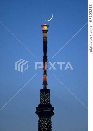 Crescent moon and sky tree Crescent moon and sky tree 67105218