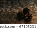 Pine cones on an earthen background 67105231