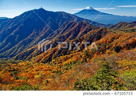 Mitsuige and Mt. Fuji in autumnal leaves from the headquarters Maru Mitsuige and Mt. Fuji in autumnal leaves from the headquarters Maru 67105733