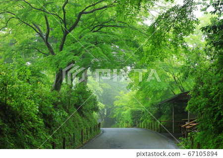World Heritage Site 67105894