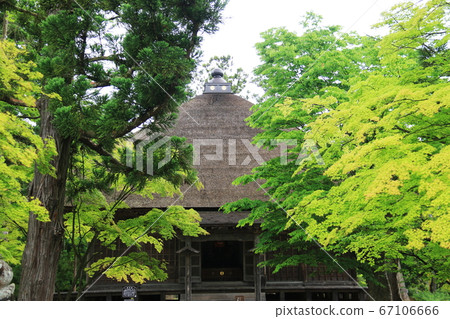 Hiraizumi, Iwate Prefecture, June, Motsuji Temple Hiraizumi, Iwate Prefecture, June, Motsuji Temple 67106666