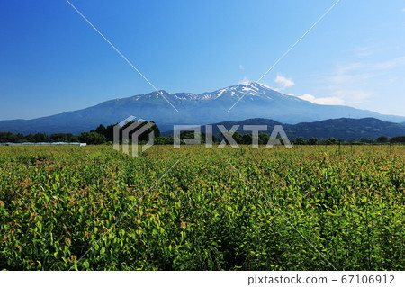 山形莊內平原初夏梨田和長海山 67106912