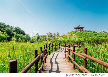 Korea traditional gazebo with green field road at Wolmi Park Traditional Garden in Incheon, Korea 67107306