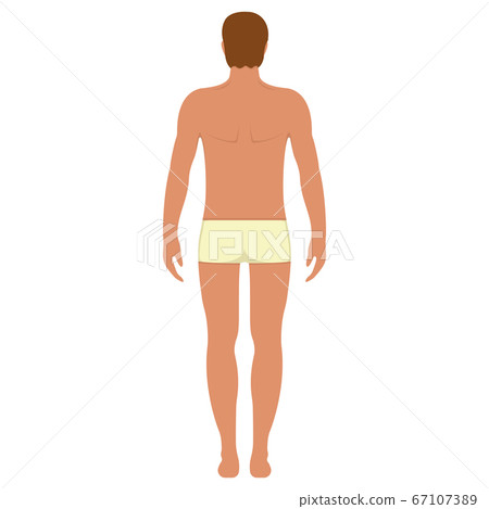 Male anatomy human character, man people dummy Male anatomy human character, man people dummy 67107389