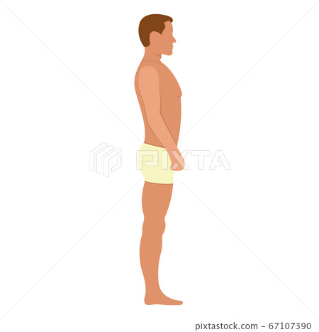 Male anatomy human character, man people dummy Male anatomy human character, man people dummy 67107390