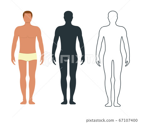 Male and female anatomy human character, people 67107400