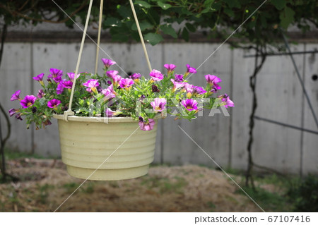 暫停播種機 67107416