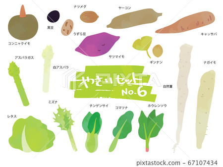 蔬菜插圖集6 67107434