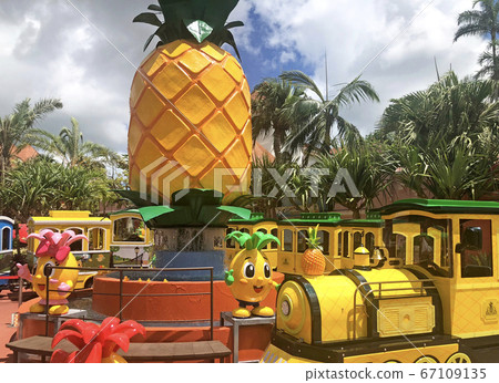 Okinawa Nago Pineapple Park 67109135