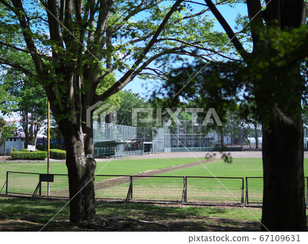 當地體育場在陽光燦爛的日子 67109631