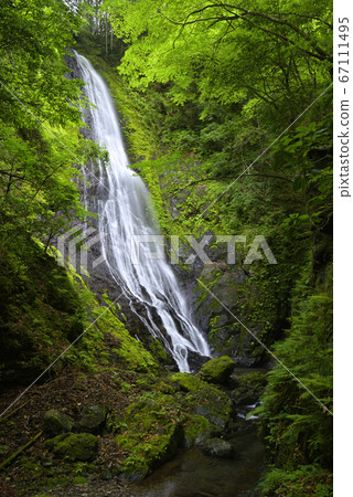 Otonashi Falls (Kamikitayama Village, Yoshino-gun, Nara Prefecture) Otonashi Falls (Kamikitayama Village, Yoshino-gun, Nara Prefecture) 67111495