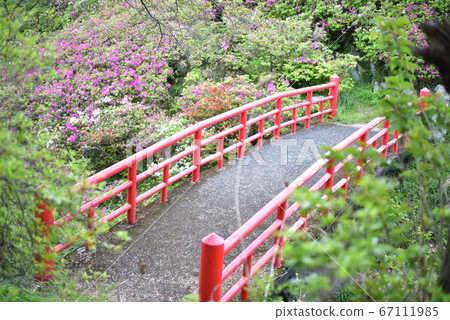淡水游樂園 淡水游樂園 67111985