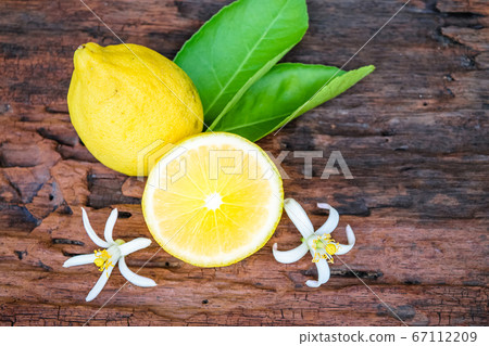 fresh lemon 67112209
