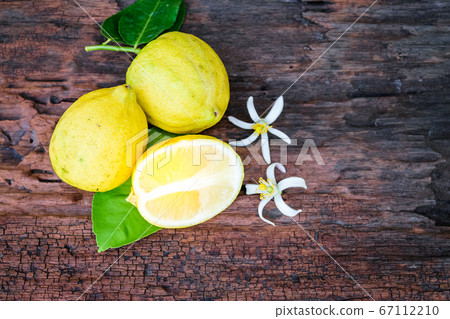 fresh lemon 67112210