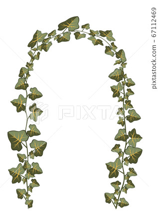 Branches of ivy Branches of ivy 67112469