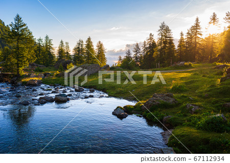 Alpine landscape, mountain stream in idyllic 67112934