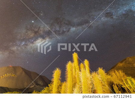 Milky way in the desert 67112941