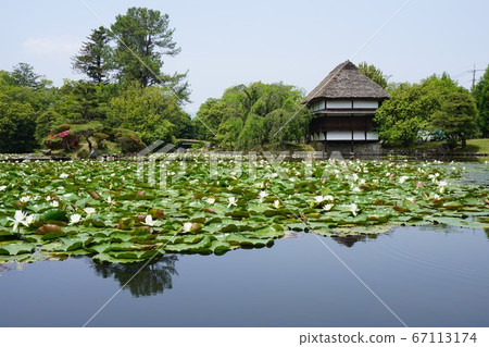 岡山縣津山市的移民日本庭園“Towa天堂” 岡山縣津山市的移民日本庭園“Towa天堂” 67113174