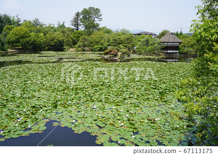 岡山縣津山市的移民日本庭園“Towa天堂” 67113175
