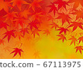 Beautiful autumn leaves maple background material vector 67113975