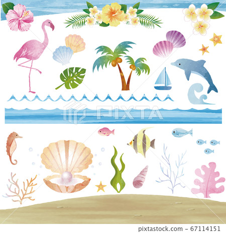 夏天海熱帶熱帶水彩插圖素材集 67114151