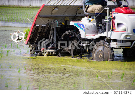 Rice planting work using a cultivator 67114372