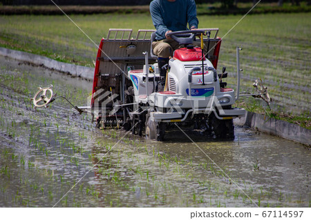 Rice planting work using a cultivator 67114597