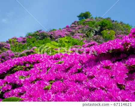 Superb view of Miyazaki Kirishima Superb view of Miyazaki Kirishima 67114621