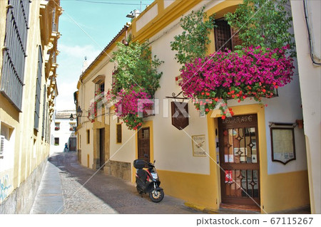 安達盧西亞科爾多瓦的城市景觀（西班牙/科爾多瓦） 67115267