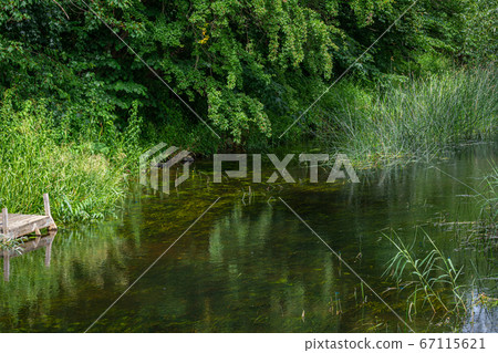 Beautiful river floating through a lush, green area. Reflections from trees. All green picture. 67115621