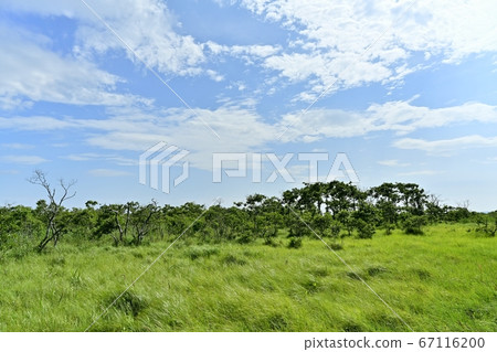 Kushiro Wetland Onsen Inner Wood Road Wetlands 67116200