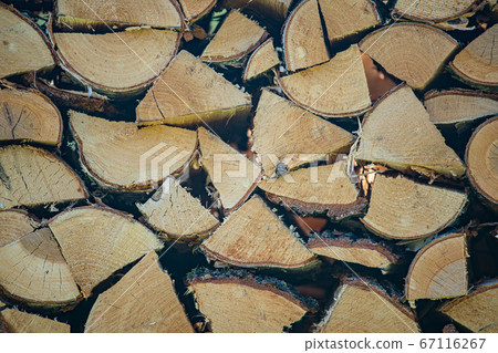 Pile of wood logs ready for winter 67116267